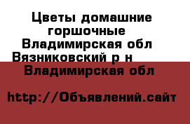 Цветы домашние горшочные - Владимирская обл., Вязниковский р-н  »    . Владимирская обл.